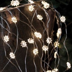 Guirlande lumineuse LED - Sirius - Silke - Petites fleurs - 40 LED - Silver