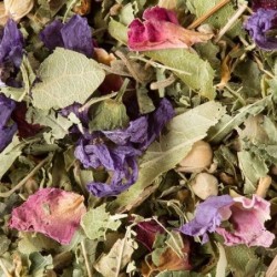 Tisane des merveilles - Dammann Frères - Vrac