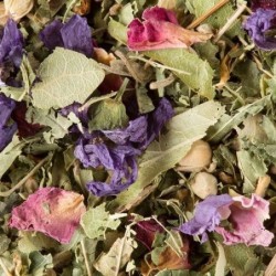 Tisane des merveilles - Dammann Frères - Vrac