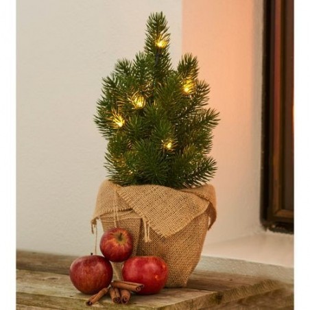 Sapin lumineux - Sirius - Tira - 35 cm