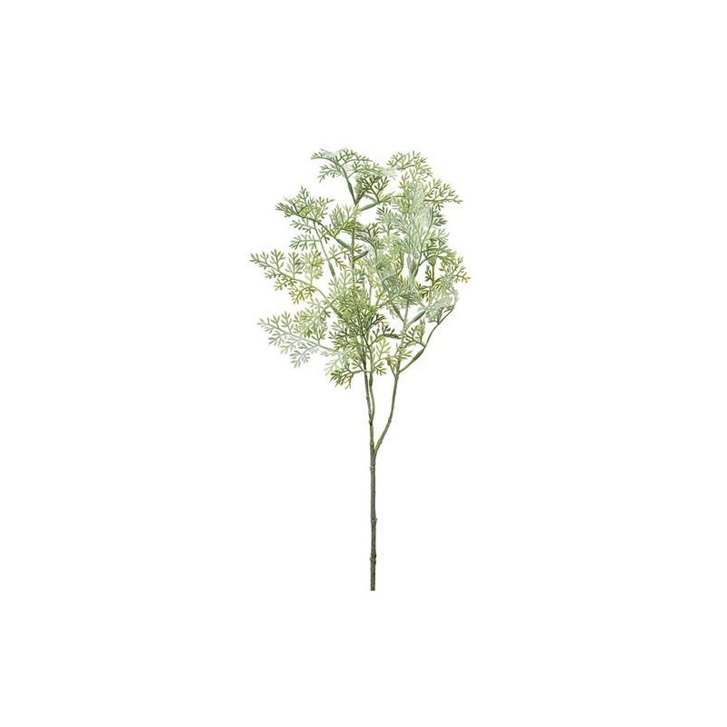 Armoise - Mr Plant - 60 cm