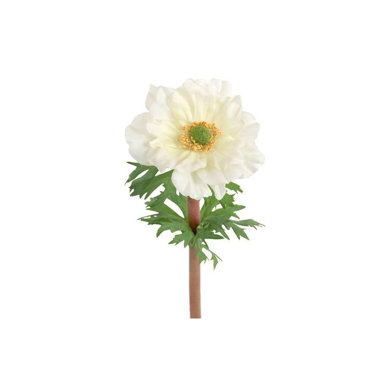 Anémone - Mr Plant - Blanche - 45 cm