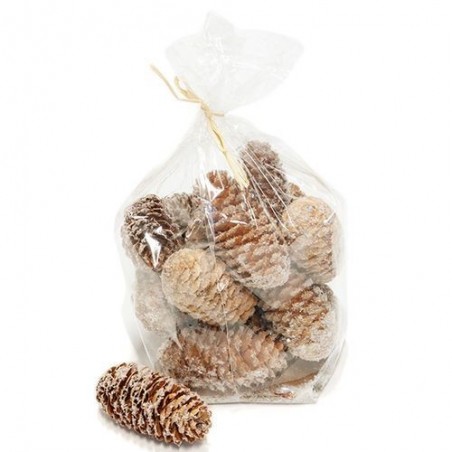 Cônes de pin - Mr plant