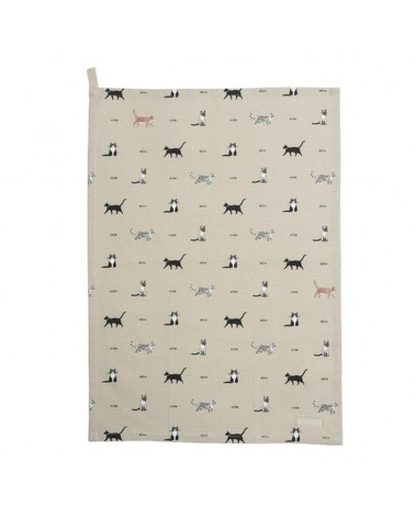 Torchon - Sophie Allport - Chats