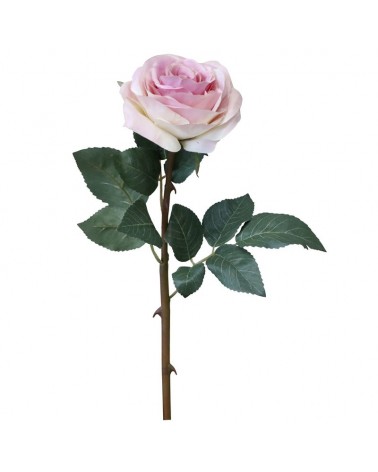 Fleur - Rose Morning beauty - Chic Antique - 52 cm