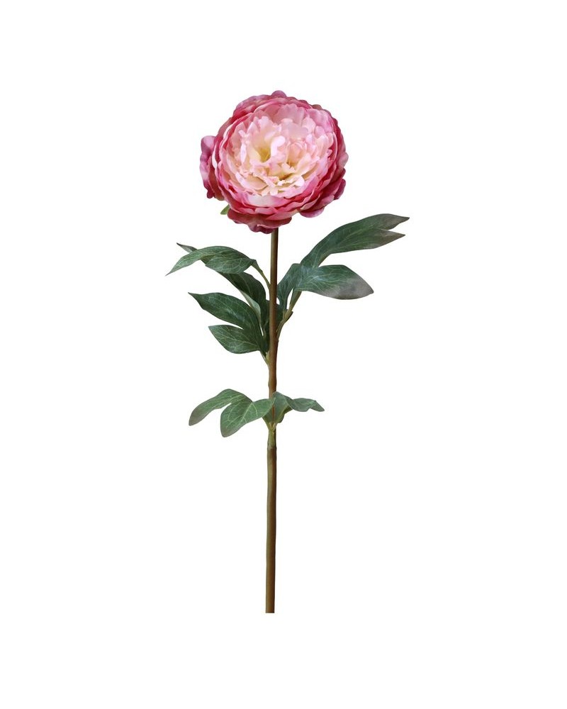 Fleur - Pivoine - Chic Antique - 74 cm