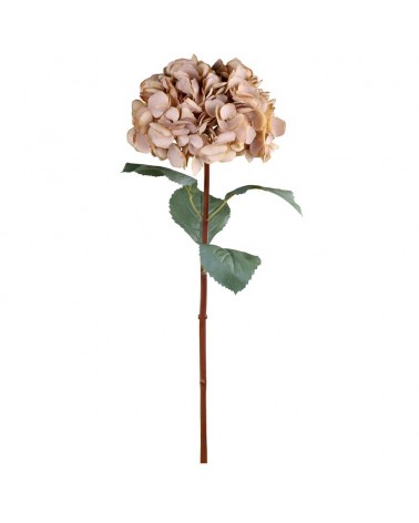 Fleur - Hortensia - Chic Antique - 80 cm - vintage beige