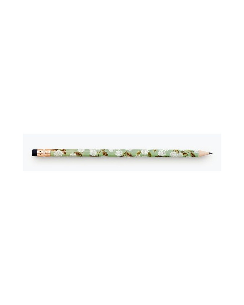 Crayon de papier  - Rifle Paper - Meadow - green