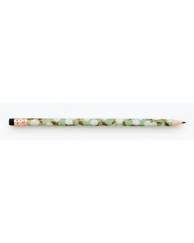 Crayon de papier  - Rifle Paper - Meadow - green