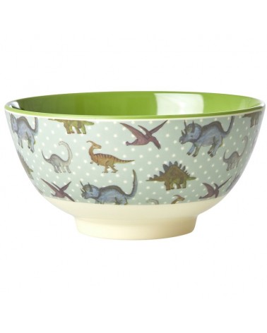 Bol Mélamine - Rice - New dino - MELBW-NDINO