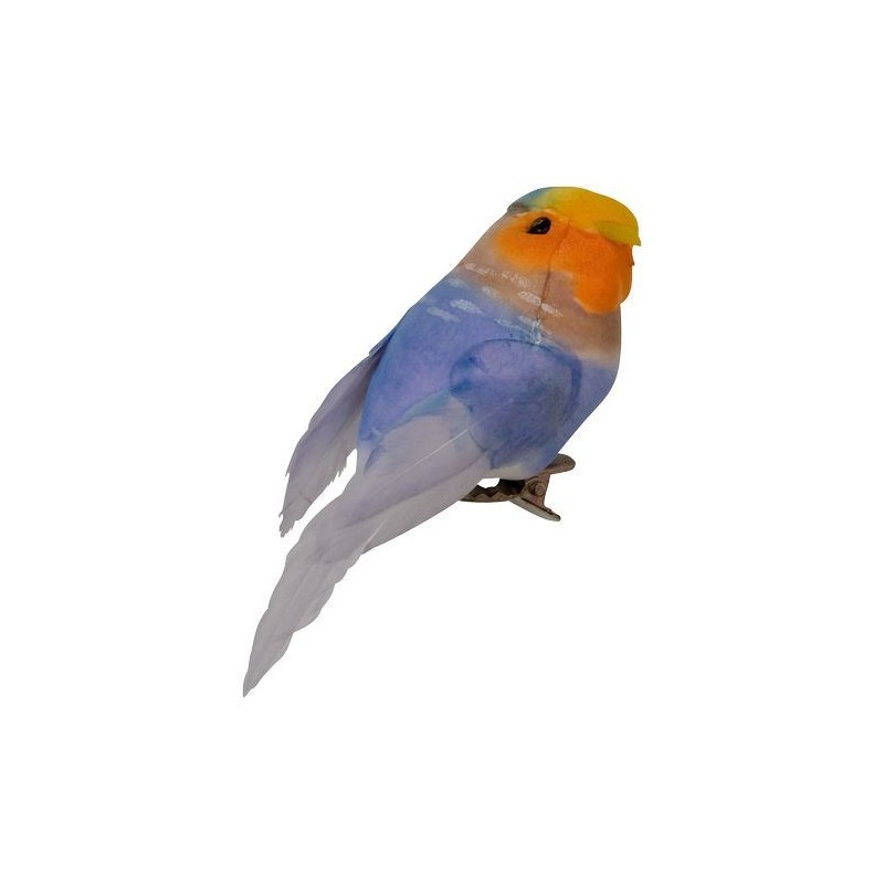Oiseau Pince - Rice - Bleu