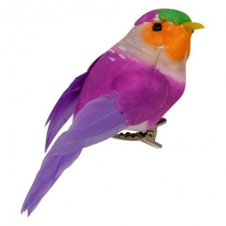 Oiseau Pince - Rice - Violet