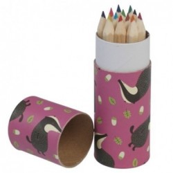 Cartouche de 12 crayons de couleurs - Mr Badger - Rex