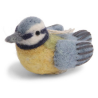 Oiseaux