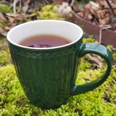 🪻🍀🩷Un petit thé au jardin en ce dimanche très doux pour février... 
Et vous ? Vous faites une pause ?...
Dites moi en commentaire quelle est votre petit moment à vous le dimanche ?
#greengateeveryday #pinewoodmug #newcolor #untheaujardin #mousse #springiscoming #highlandsbreakfast 🍀🩷🪻